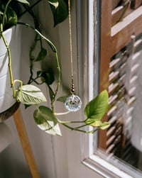 Image 3 of Atrapaluces Bolitas