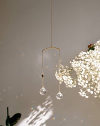 Image 5 of Atrapaluces Estrellas