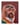 Portrait of Dr Nas Mohamed