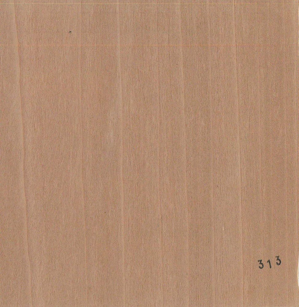 Image of Pink (313)