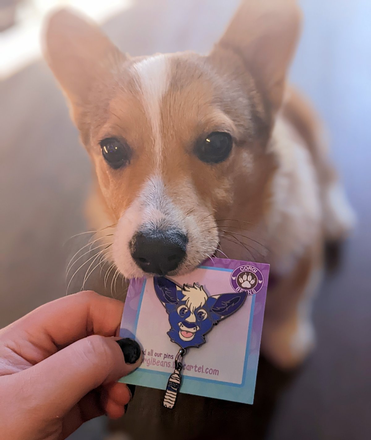 Image of Limited edition Pocari Roo Dangle Pin