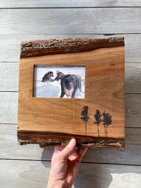 Image of Walnut Slab Frame with Tiny Arbor
