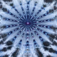 Image 3 of 2XL Greysplosion