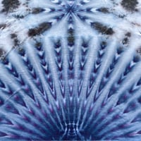 Image 4 of 2XL Greysplosion