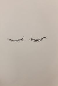 ESCOLOPENDRES