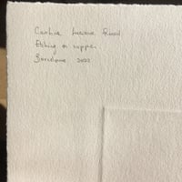 Image 3 of Tierra astral