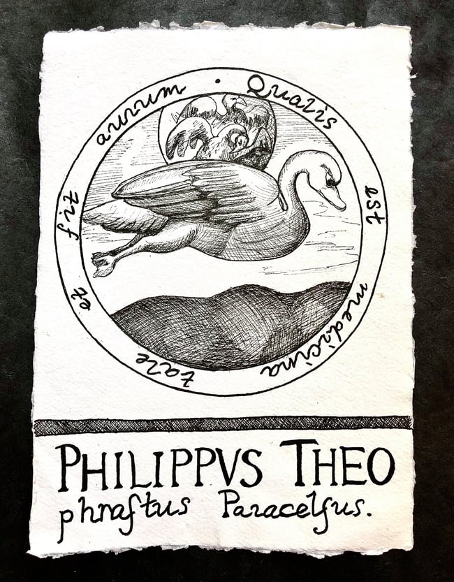 Philippus Theophrastus Paracelsus
