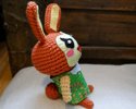 Bunnie/Clara Amigurumi