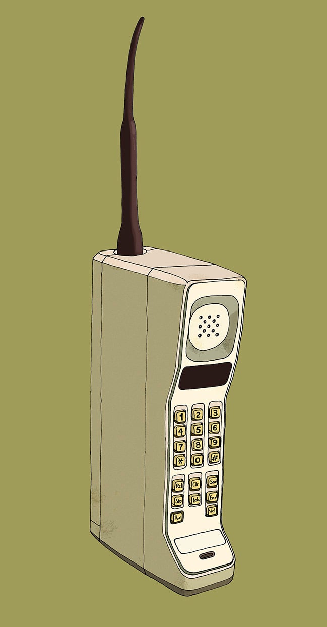 Image of Motorola 8000X