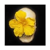"Skullflower" 17x17" Limited Edition Print
