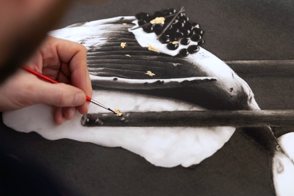 Image of Whale Sushi (Hand finished)