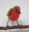 Robin, needle felt bird