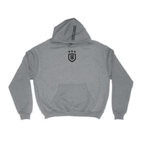 GREY EMBLEM HOODIE