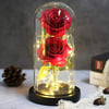 Red rose bouquet in LED ambient light glass