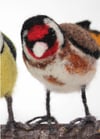 Goldfinch, needle felted bird