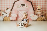 Image 3 of FLASH SALE - Deluxe Cake Smash