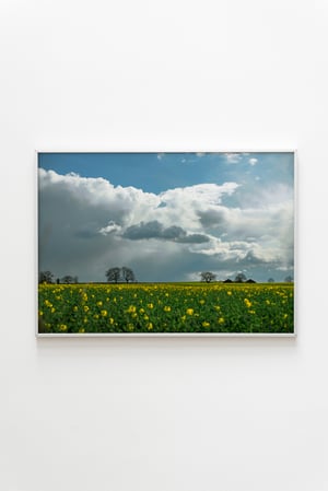 Pyramids - A3 Giclee Print 