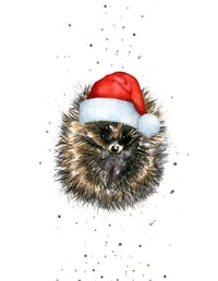 Christmas Hedgehugs