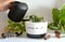 Image of New job gift "rooting for you" plant pot