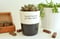 Image of Handmade House-warming gift "happiness grows here" indoor pot