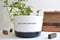Image of Personalised gift with your own quote, cactus custom pot Christmas present