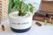 Image of Engagement gift "grow old with me" succulent pot