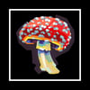 Fly Agaric (Amanita Muscaria) - Signed 12" Prints
