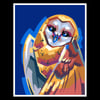 Owl - Signed 11"x14" Prints