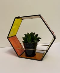 Image 4 of Hex Plant Holder in Orange