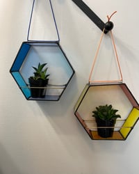 Image 5 of Hex Plant Holder in Orange