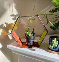 Image 1 of Hex Plant Holder in Orange
