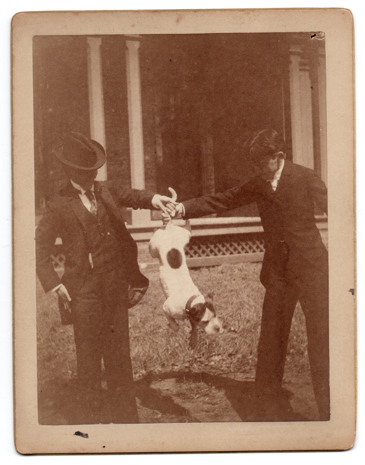 Image of anonymous: two men holding a dog at it's tail, cabinet card