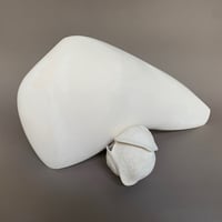 Image 1 of 24x45x21
