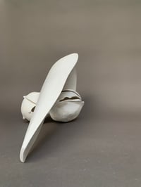 Image 4 of 24x45x21