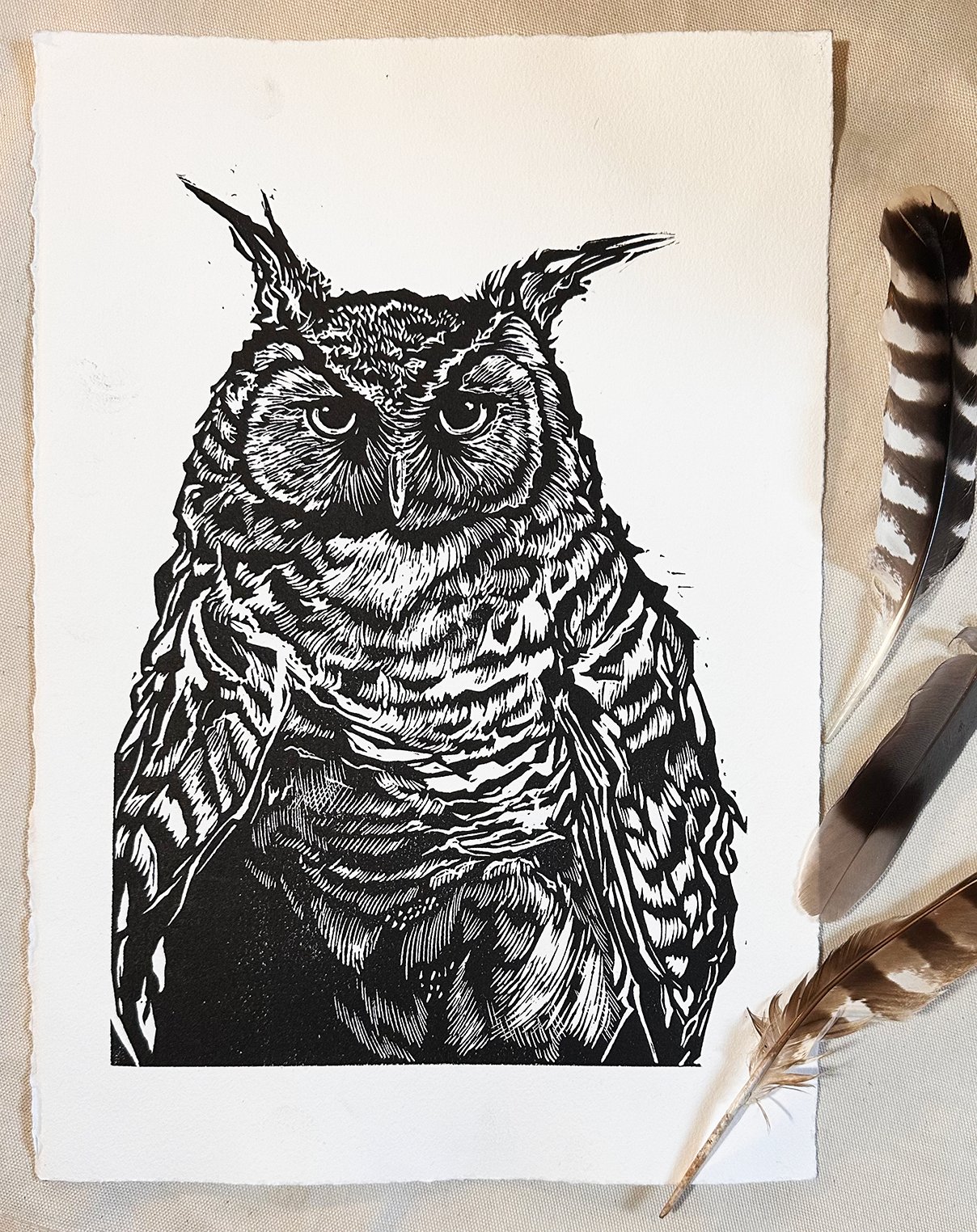 Image of An Owl with Attitude!