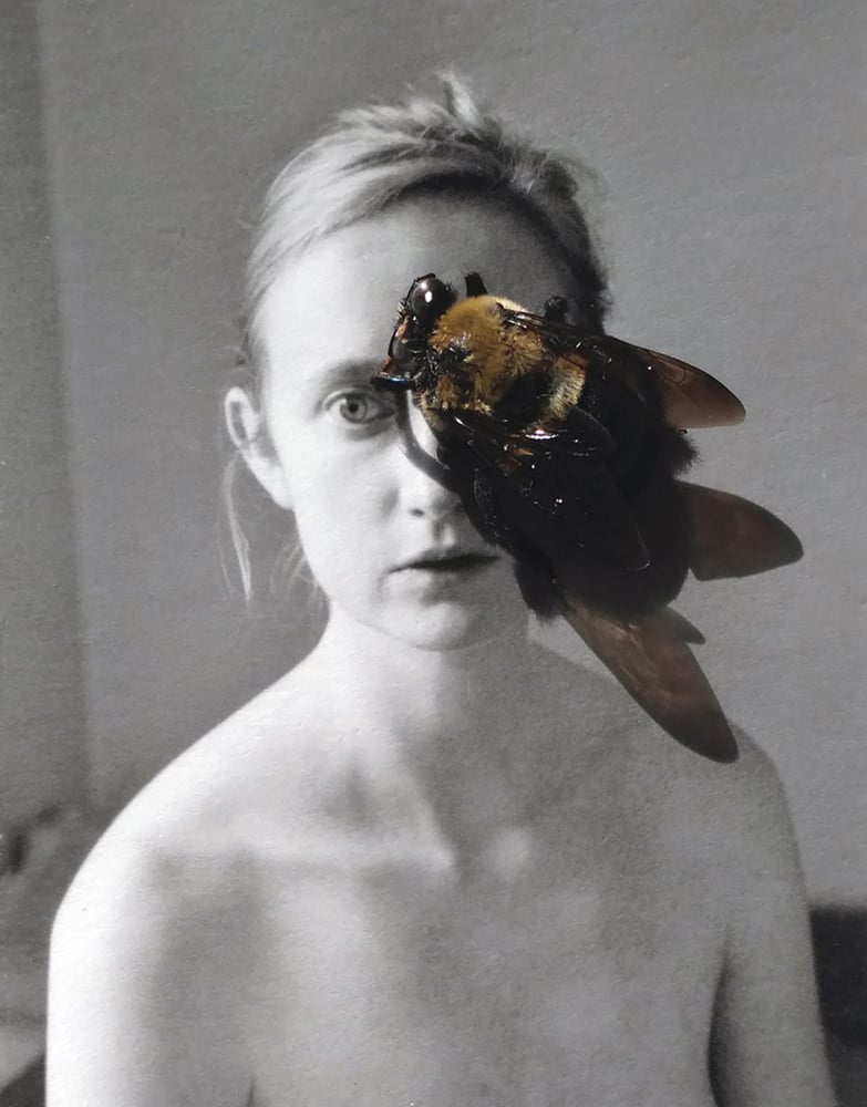 Image of stung