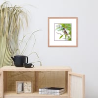 Image 6 of Hummingbirds Rest Framed Print