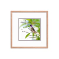Image 2 of Hummingbirds Rest Framed Print