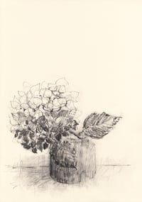 Autumn hydrangea no. 3