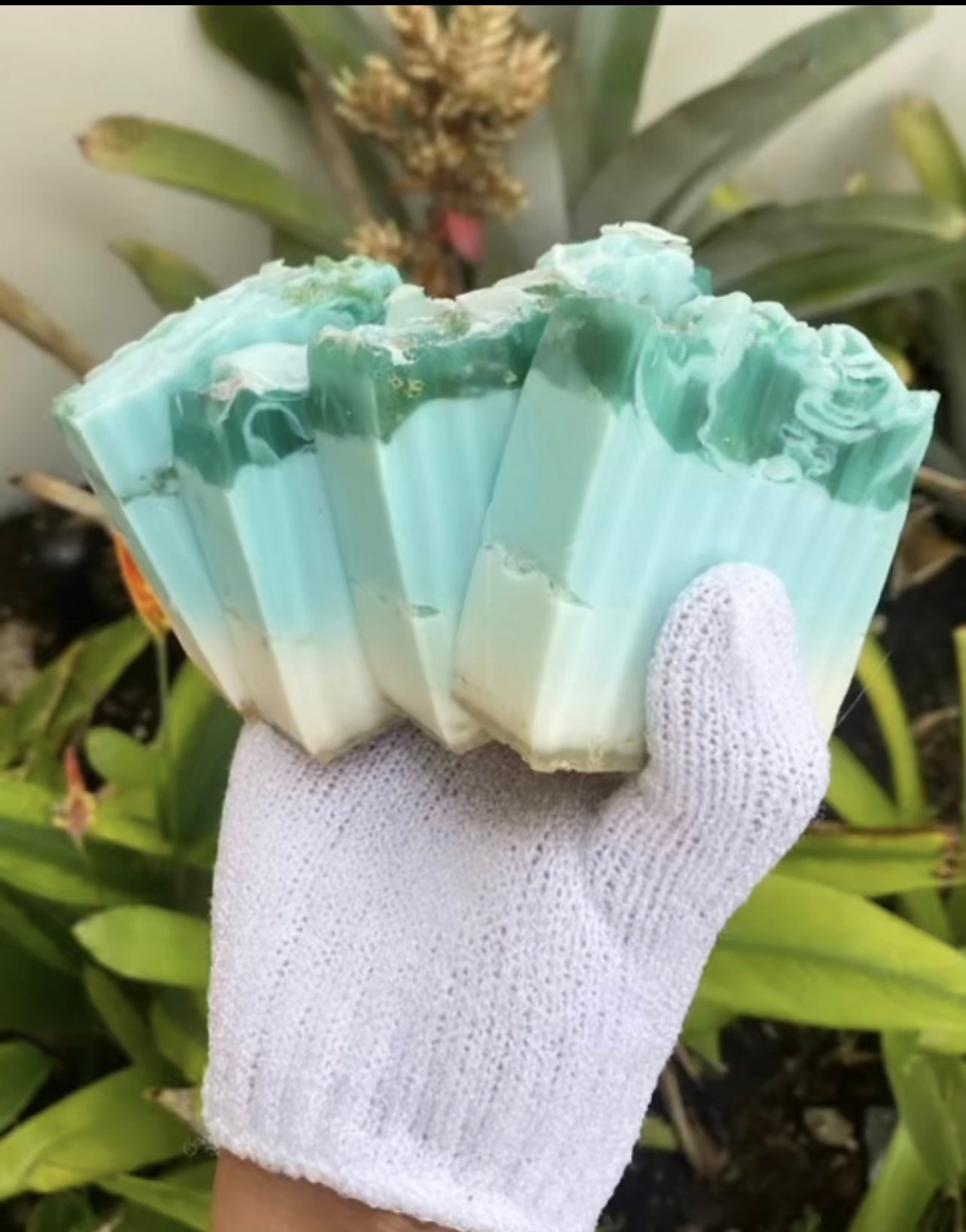 Image of Triple Seas Soap