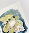  Frog | Watercolor Art Print 
