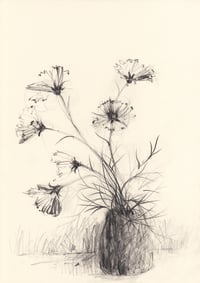 Small vase of cosmos no. 2