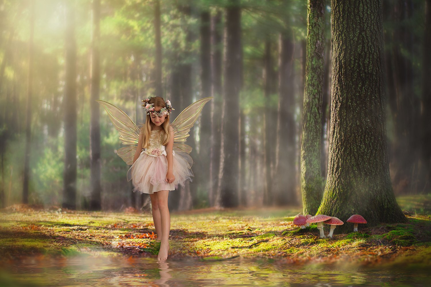 Image of Fairy Mini 