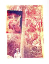Eileen Cowin RIP OFF SHOW print