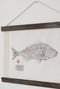Image of Dourada | Gilthead Bream