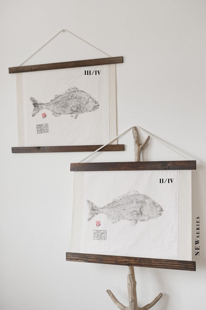 Image of Dourada | G. Seabream