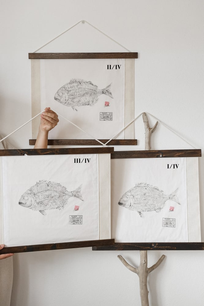 Image of Sargo | EU Seabream