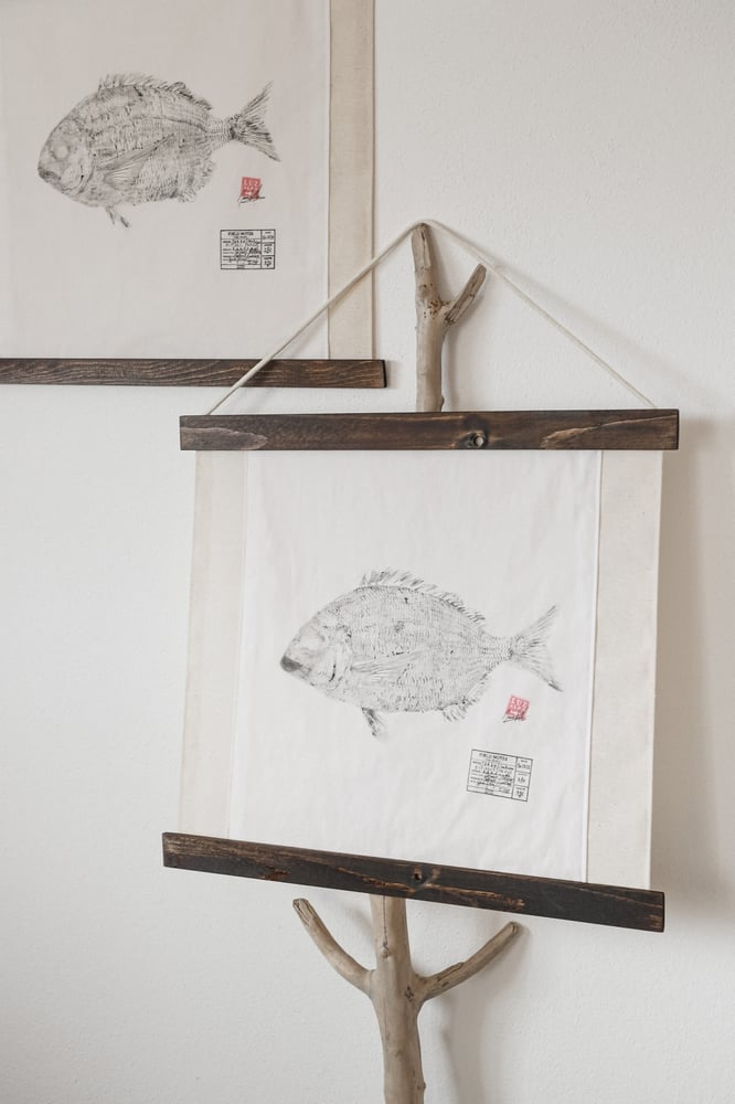 Image of Sargo | EU Seabream