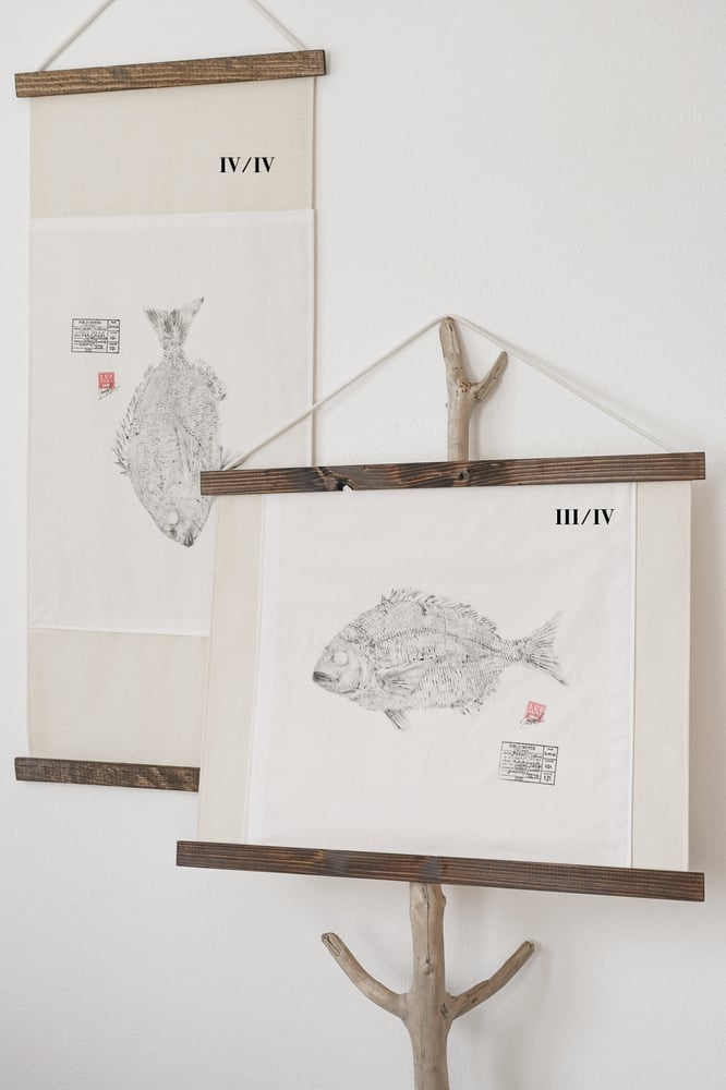 Image of Sargo | EU Seabream