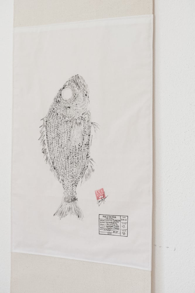 Image of Cachucho | Large-eye Dentex